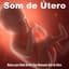 Som de Útero