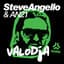 Steve Angello & AN21