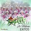 Banda Maguey