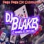DJ Blakes