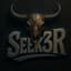 Seek3R