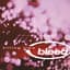 bleed