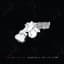She Drew The Gun