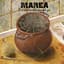 Marea