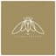 cicada rhythm
