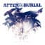 After the Burial