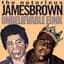 Notorious James Brown