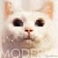 MODERNS