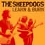 The Sheepdogs