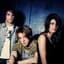 Sick Puppies