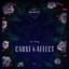 Cause & Affect