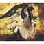 MISIA