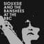 Siouxsie and the Banshees