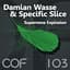 Damian Wasse