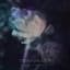 Stephen Schwartz