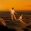 The Pirouettes