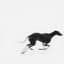 Feral Family