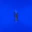 Moonfall