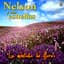 Nelson Y Sus Estrellas