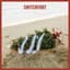 Switchfoot