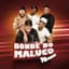 Bonde do Maluco