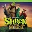 Cast Of Shrek The Musical