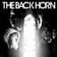 THE BACK HORN