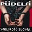 Püdelsi