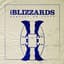 The Blizzards
