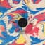 Animal Collective
