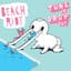 Beach Riot
