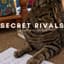 secret rivals