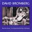 David Bromberg