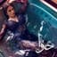 Haifa Wehbe