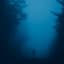 Dark Sky