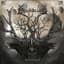 Equilibrium