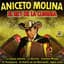 Aniceto Molina