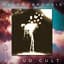 Cloud Cult