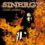 Sinergy
