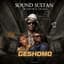 Sound Sultan