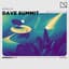 Dave Summit