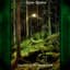 Rune Realms