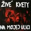 Živé Kvety