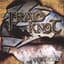 Freyed Knot