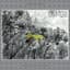 John Lurie National Orchestra