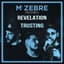 Mr Zebre