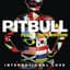 Pitbull