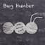 Bug Hunter