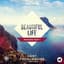Lost Frequencies