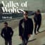 Valley Of Wolves